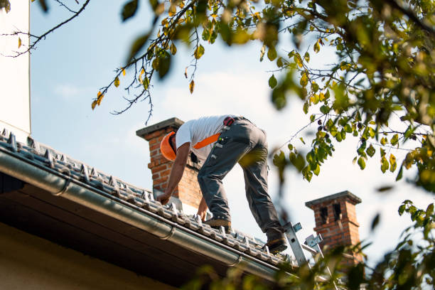 Best Metal Roofing Contractor  in St Paul, MO